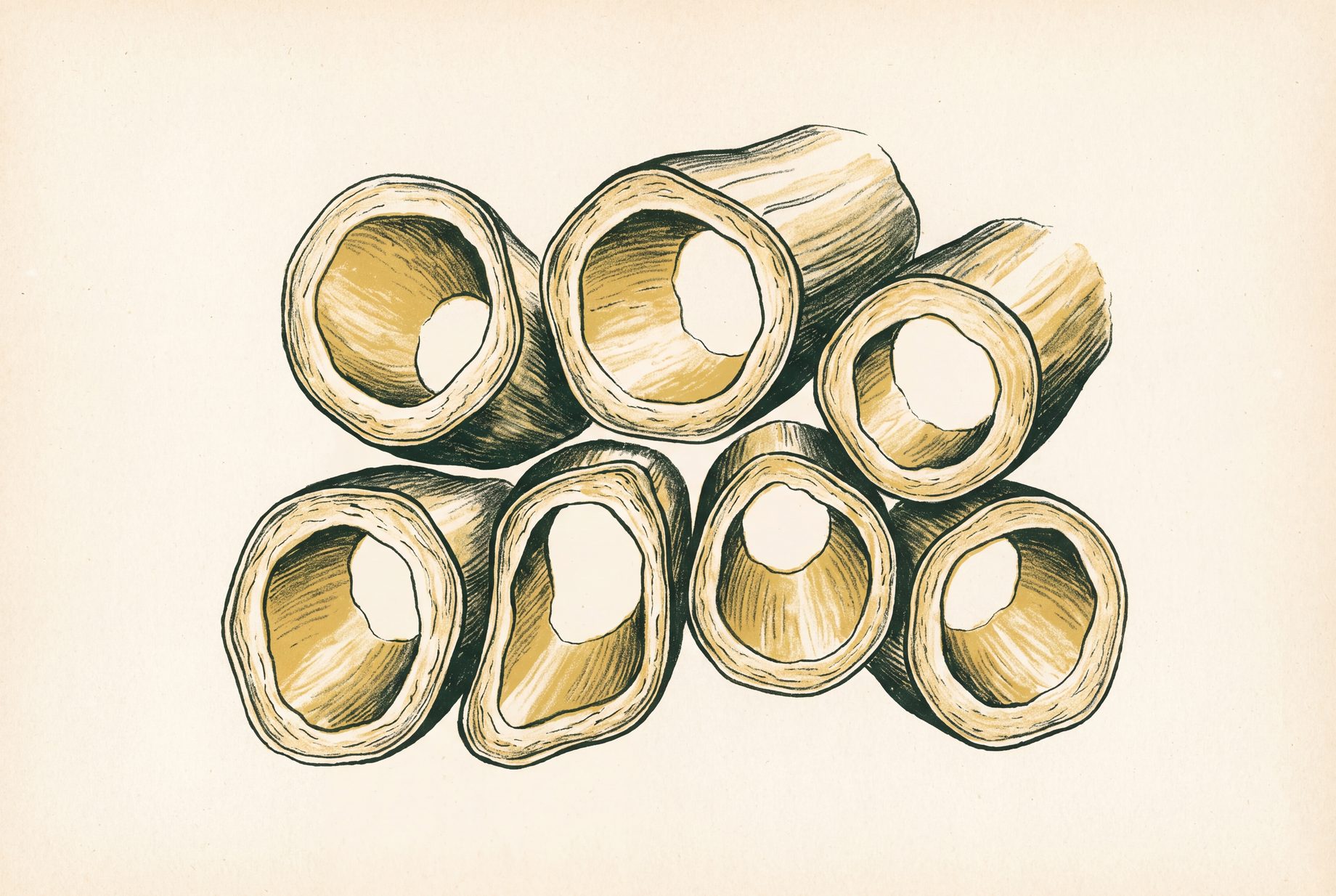 Magnified cross-section of kapok fibres, each strand drawn as a thin-walled round tube surrounding a wide hollow core, several strands grouped closely together.